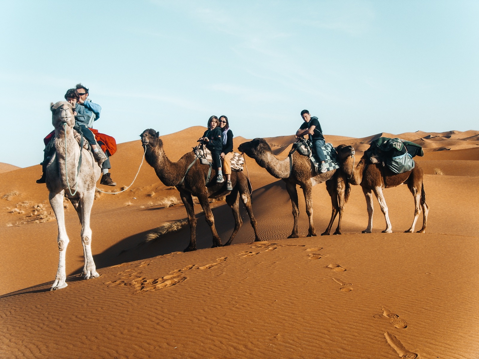 Famiglia in viaggio con i bambini sul dromedario, Marocco con AlidTours