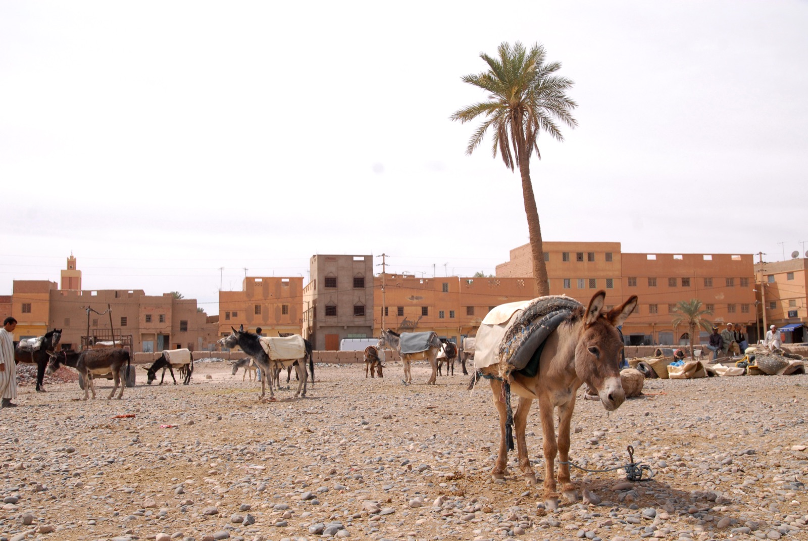Mercato di Rissani, tappa del viaggio gastronomico in Marocco