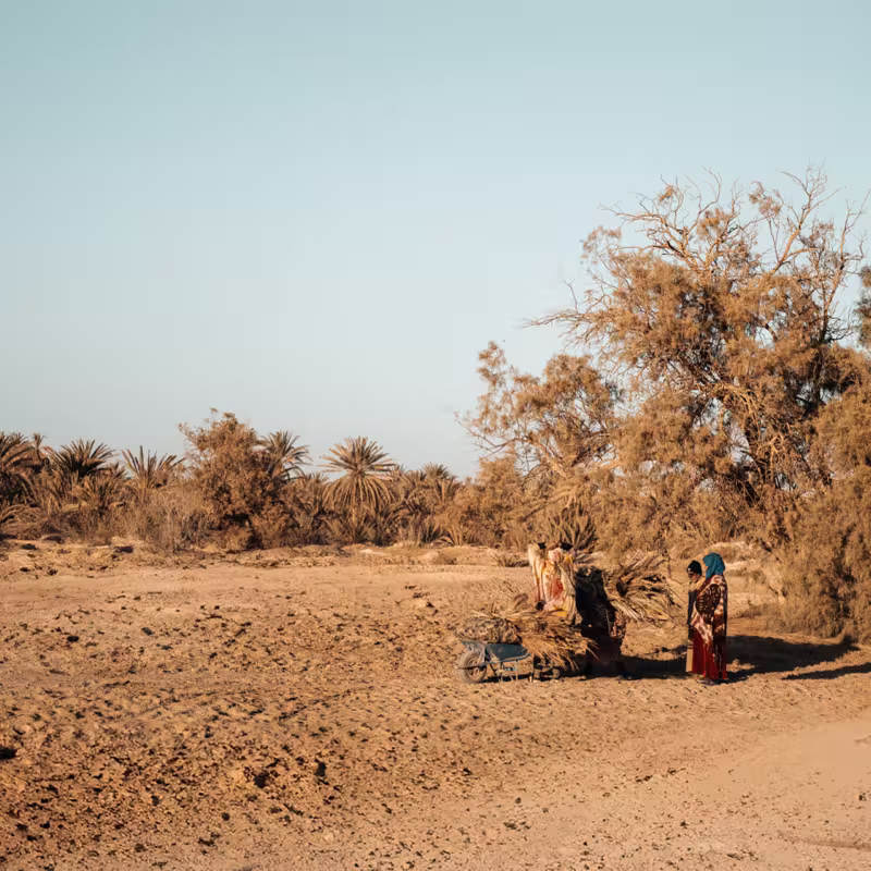 Valli di palme tra Atlante ed Essaouira